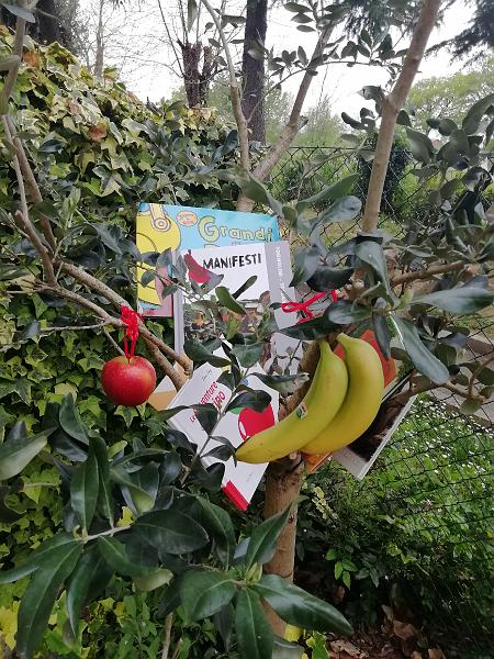 maestra GIOVANNA 2.jpg - Nel mio giardino c'è l'albero dei libri, buoni e dolci come la frutta che fa crescere sani e forti... - maestra Giovanna Tocco
Ciari